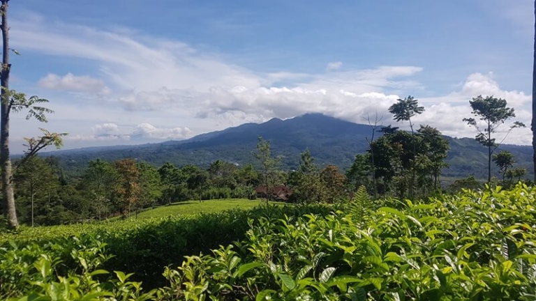 Menakar Kadar Polusi Wisata Alam Garut, Mana yang Benar-Benar Alami?